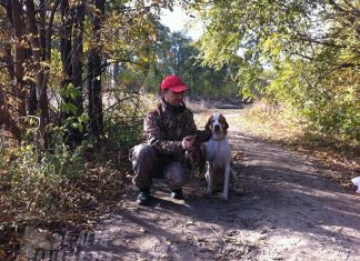 осень 2016 охота на дичь с собакой