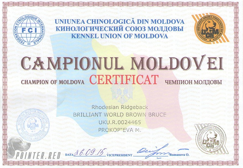 молдова 001-min